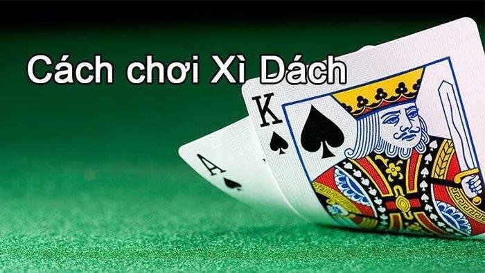 Cập nhật kết quả tỷ số bóng đá hôm nay mới nhất và đầy đủ